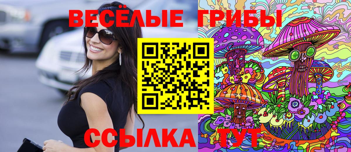 Галлюциногенные грибы Psilocybine cubensis Кропоткин
