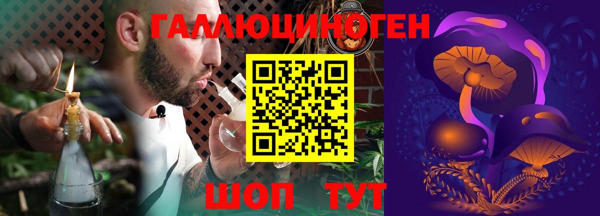Кропоткин  Галлюциногенные грибы прущие грибы  Псилоцибиновые грибы Psilocybe  Вход с VPN 